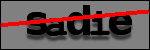 Testo da Identificare