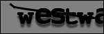 Testo da Identificare