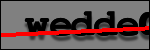 Testo da Identificare