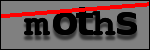 Testo da Identificare