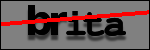 Testo da Identificare