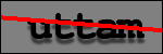 Testo da Identificare