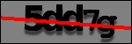 Testo da Identificare