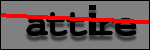 Testo da Identificare