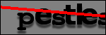 Testo da Identificare