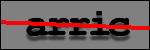 Testo da Identificare