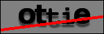 Testo da Identificare