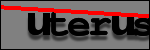 Testo da Identificare