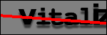Testo da Identificare