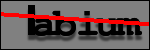 Testo da Identificare