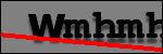 Testo da Identificare