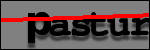 Testo da Identificare
