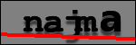 Testo da Identificare