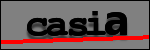 Testo da Identificare